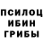 Галлюциногенные грибы Cubensis Nataliya Samar