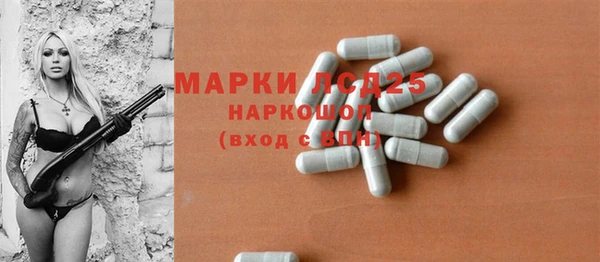 apvp Алексин