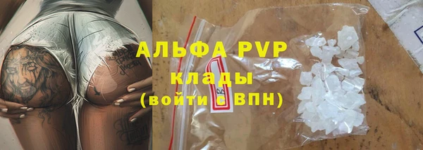 apvp Алексин