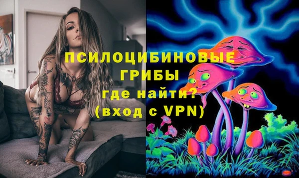 ГАЛЛЮЦИНОГЕННЫЕ ГРИБЫ Алексеевка