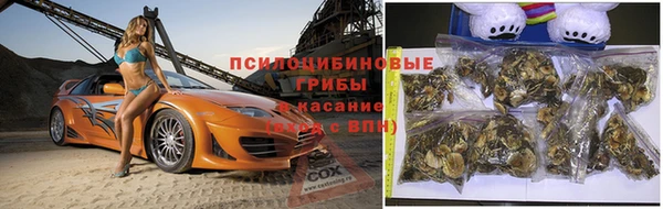 apvp Алексин