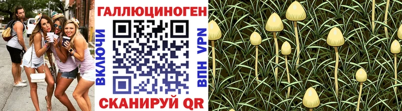 Купить  Макаров  Галлюциногенные грибы мицелий 
